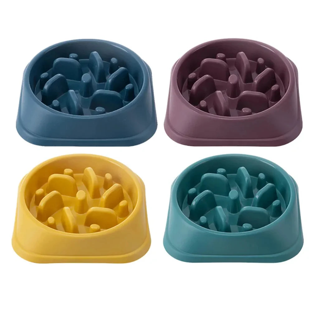 Gamelle Anti-Glouton pour Chien