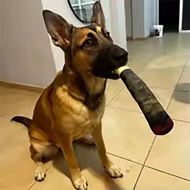 Jouet Cigare Peluche Couineur pour Chien – Cadeau Original & Amusant