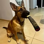 Jouet Cigare Peluche Couineur pour Chien – Cadeau Original & Amusant