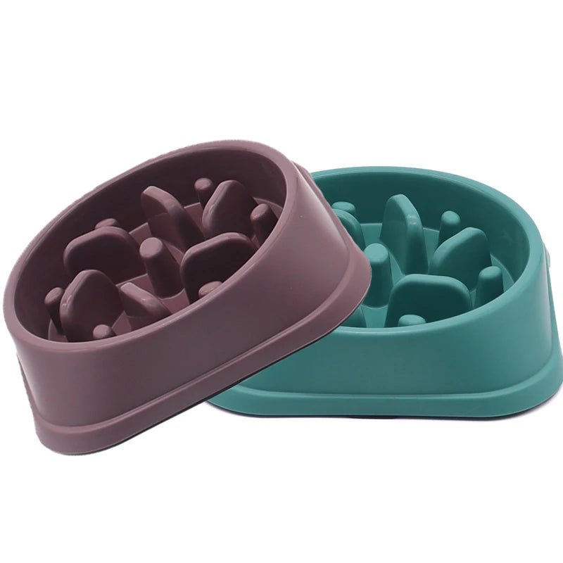 Gamelle Anti-Glouton pour Chien