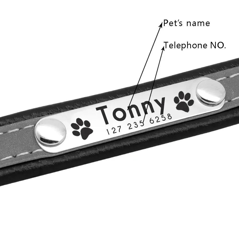 Collier Personnalisé Réfléchissant – Chien & Chat