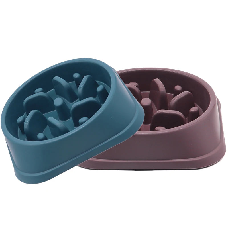 Gamelle Anti-Glouton pour Chien