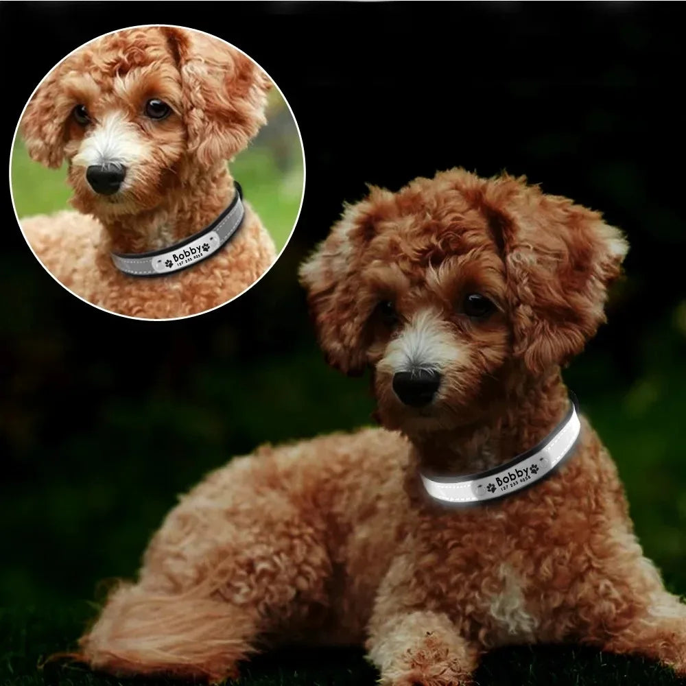 Collier Personnalisé Réfléchissant – Chien & Chat