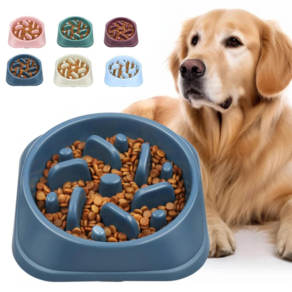 Gamelle Anti-Glouton pour Chien