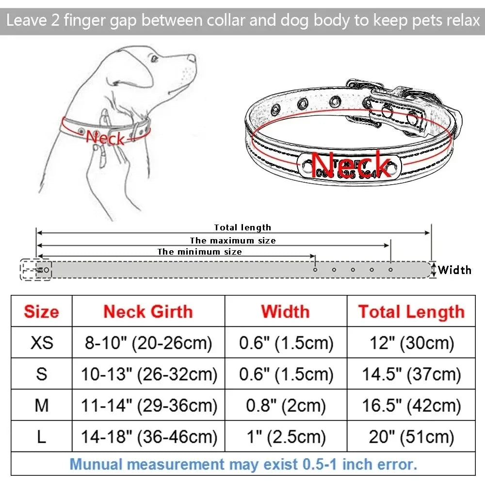 Collier Personnalisé Réfléchissant – Chien & Chat