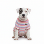 Chiot blanc veste rose